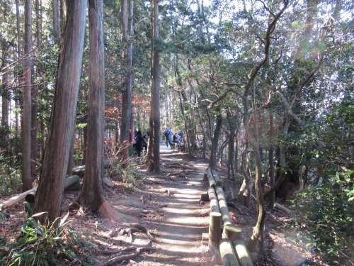 猿投山